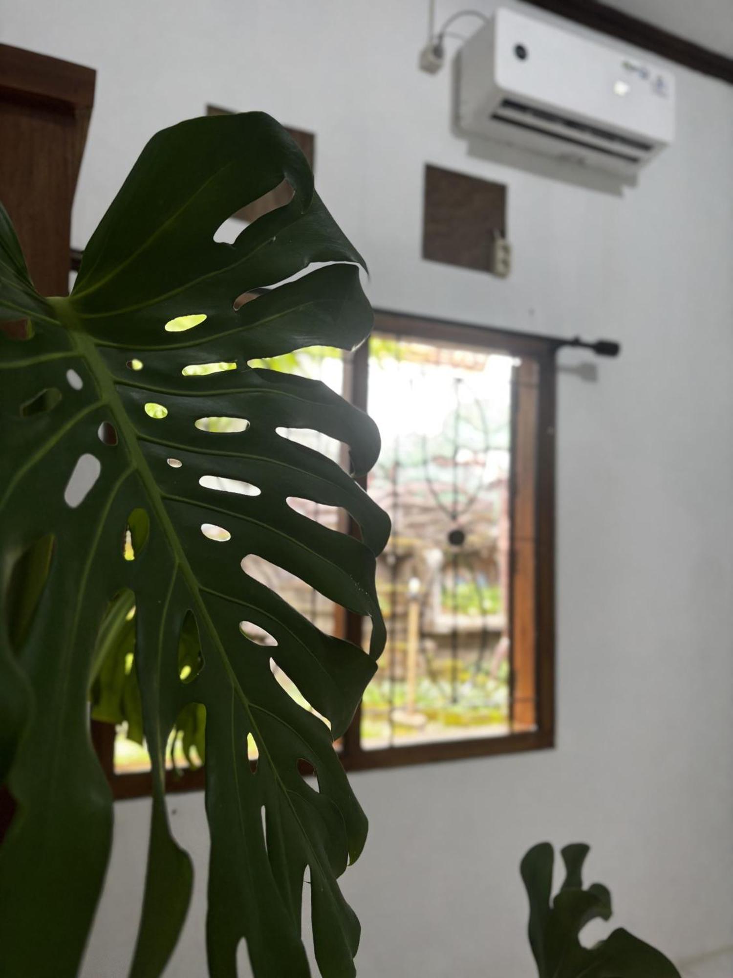 Zzz Hostel Ijen Banyuwangi  Exterior photo